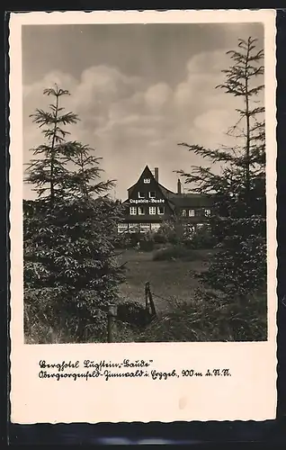 AK Obergeorgenfeld-Zinnwald i. Erzgeb., Am Berghotel Lugstein-Baude