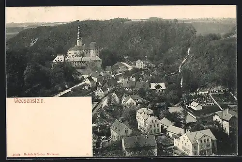AK Weesenstein, Ortsansicht aus der Vogelschau