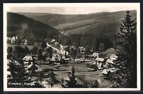 AK Wildenthal / Erzegbirge, Totalansicht