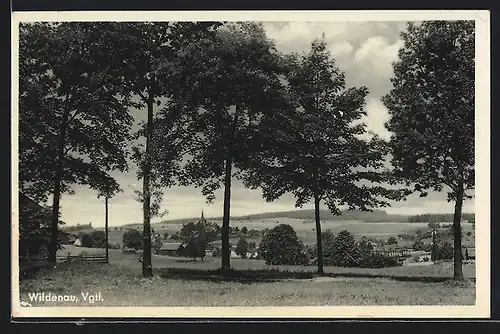 AK Wildenau /Vgtl., Ortsansicht mit Kirche