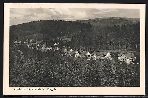 AK Bienenmühle /Erzgeb., Ortsansicht aus der Vogelschau