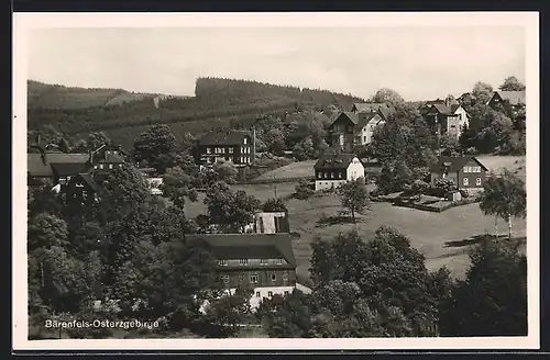 AK Bärenfels-Ostererzgebirge, Teilansicht