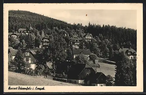 AK Bärenfels i. Erzgeb., Ortsansicht aus der Vogelschau