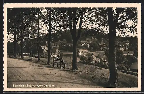 AK Bärenfels, Blick auf das Villenviertel
