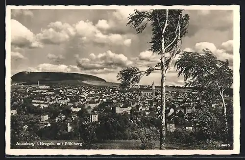 AK Annaberg i. Erzgeb., Ortsansicht mit Pöhlberg