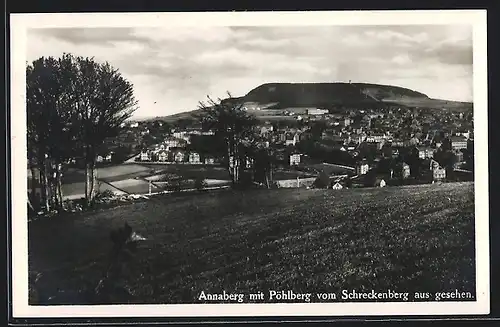 AK Annaberg i. Erzg., Ortsansicht mit Pöhlberg