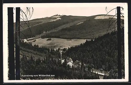 AK Wildenthal, Talansicht mit Wald und Haus