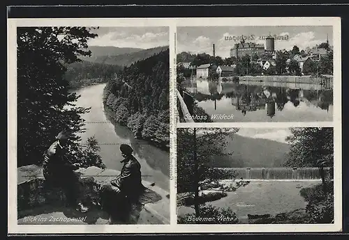 AK Zschopau, Schloss Wildeck, Bodemer Wehr und Blick ins Zschopautal