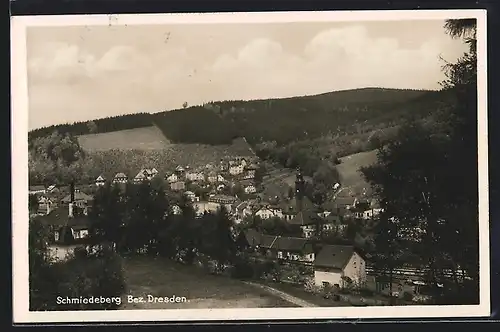 AK Schmiedeberg /Bez. Dresden, Teilansicht