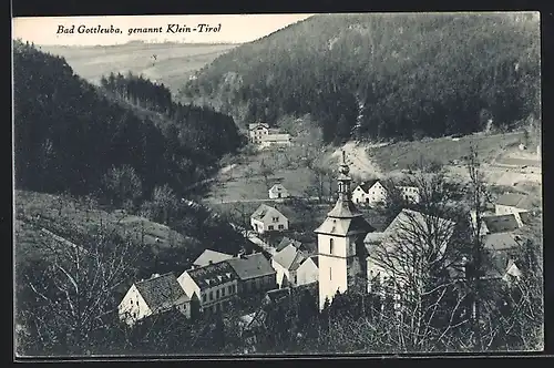 AK Bad Gottleuba, Blick auf Kolonie Klein Tirol