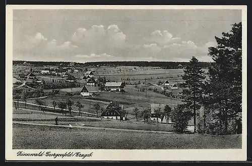 AK Zinnwald-Georgenfeld /Erzgeb., Panorama