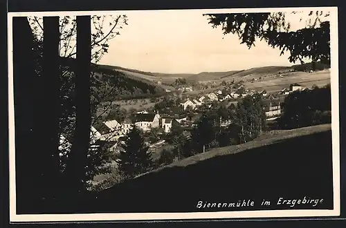 AK Bienenmühle im Erzgebirge, Teilansicht