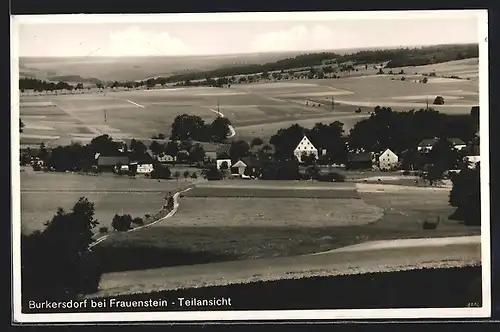 AK Burkersdorf bei Frauenstein, Teilansicht