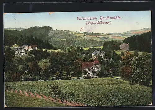AK Barthmühle /Vogtl. Schweiz, Villenviertel