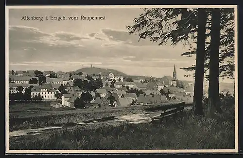 AK Altenberg i. Erzgeb., Teilansicht vom Raupennest aus gesehen