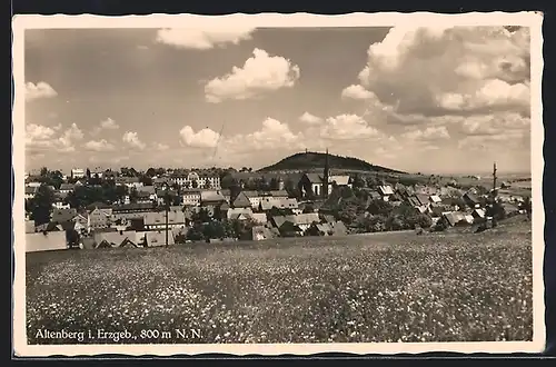 AK Altenberg / Erzg., Panoramaansicht