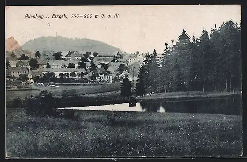 AK Altenberg / Erzg., Ortsansicht