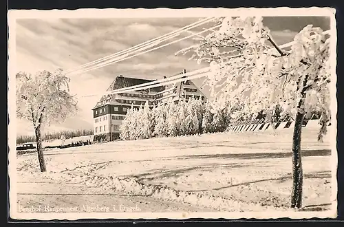 AK Altenberg i. Erzgeb., Gasthaus Berghof Raupennest im Schnee