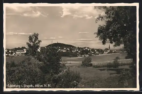 AK Altenberg i. Erzgeb., Teilansicht