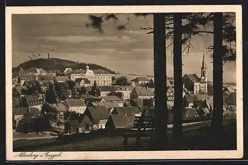 AK Altenberg / Erzg., Teilansicht mit Kirche