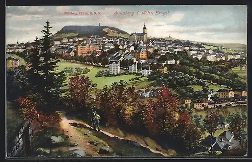 AK Annaberg / Erzg., Totalansicht mit Pöhlberg