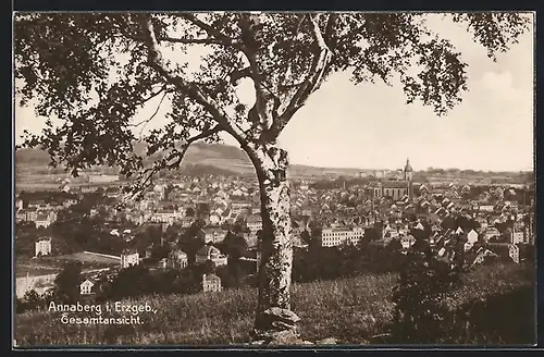 AK Annaberg / Erzg., Gesamtansicht