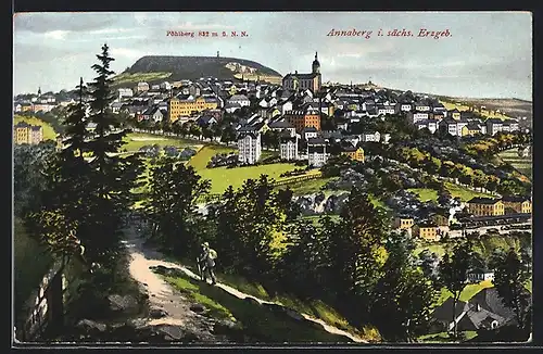AK Annaberg / Erzg., Totalansicht mit Pöhlberg