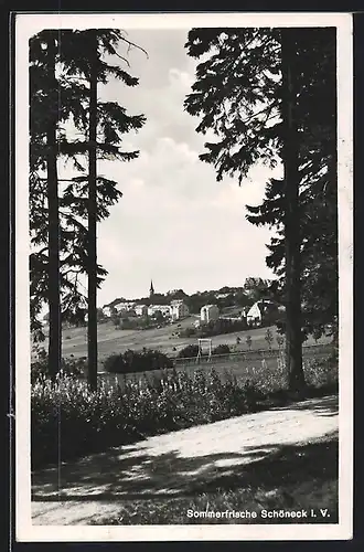 AK Schöneck / Vogtl., Blick auf die Ortschaft