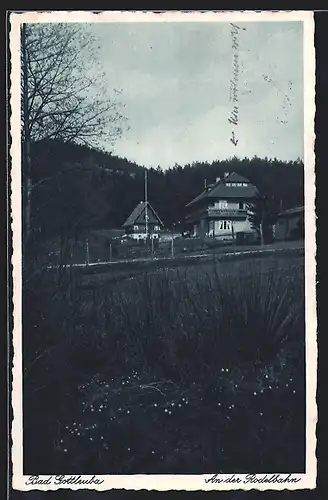 AK Bad Gottleuba, Partie an der Rodelbahn