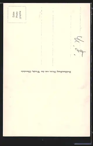 AK Oberstein, Orgel in der Felsenkirche, Innenansicht