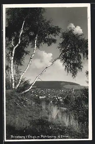 AK Annaberg i. Erzg., Ortspanorama mit Pöhlberg