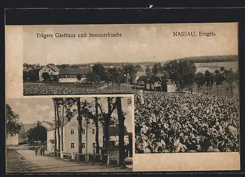 AK Nassau /Erzgeb., Trägers Gasthaus, Ortsansicht mit Feldern