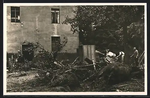 AK Glashütte /Sa., Angeschwemmtes Pferd vor einem Haus, Unwetter 1927