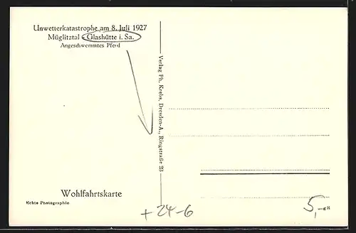 AK Glashütte /Sa., Angeschwemmtes Pferd vor einem Haus, Unwetter 1927