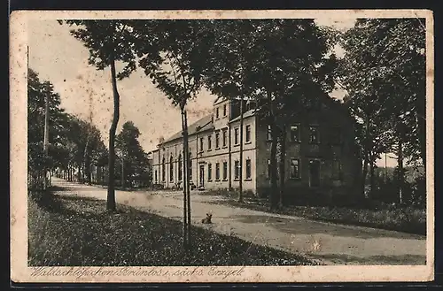 AK Brünlos /Erzgeb., Gasthaus Waldschlösschen mit Strasse