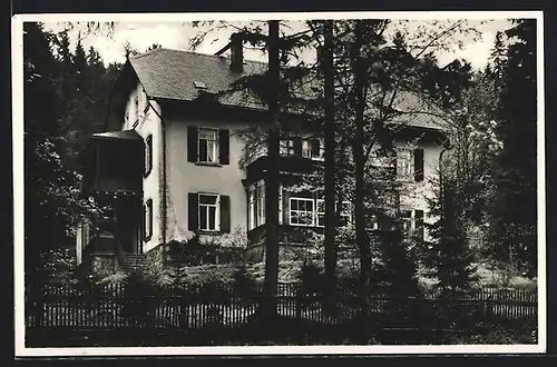 AK Waldbärenburg bei Kipsdorf /Sa., Gasthof Waldhaus Anna A. Siegel, Strassenansicht