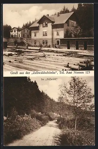 AK Nossen, Gasthaus Zellwaldschänke, Partie im Zellwald