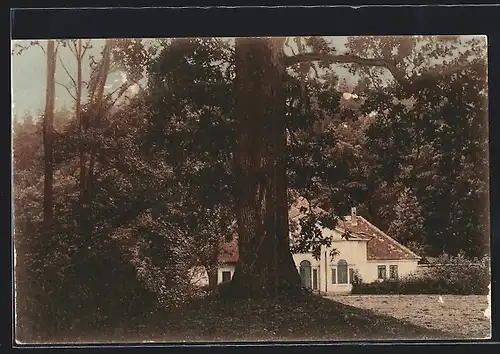 AK Ratiborice, Babiccina udoli, Myslivna v Ratiboricich