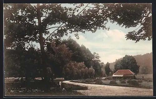 AK Ratiborice, Partie z údolí