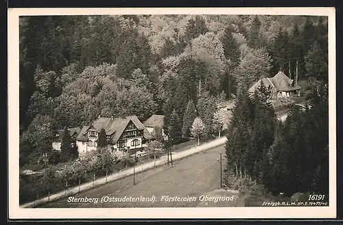 AK Sternberg, Förstereien im Obergrund