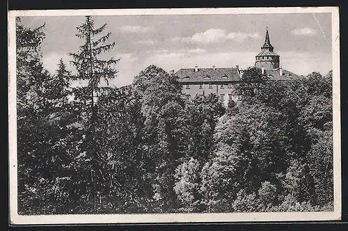 AK Grafenstein, Partie am Schloss