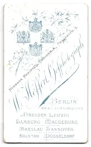 Fotografie W. Höffert, Berlin, Unter den Linden 24 & Leipzigerplatz 12, Junger Herr im Anzug mit Krawatte