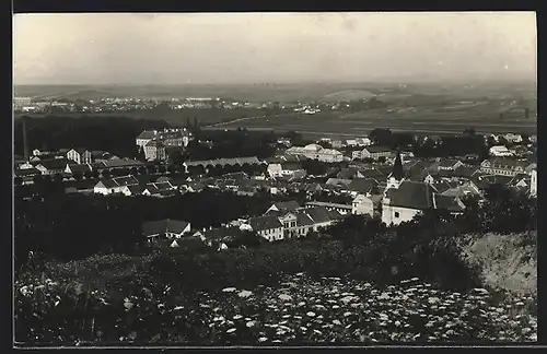 AK Zidlochovice, Totalansicht vom Berg aus
