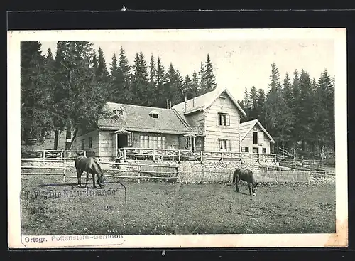 AK Unterberg-Schutzhaus, Partie mit weidenden Pferden