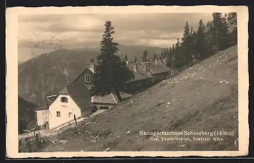 AK Baumgartnerhaus am Schneeberg mit Tannen