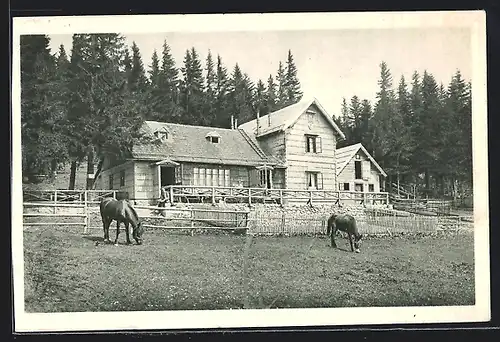 AK Unterberg-Schutzhaus, Partie mit weidenden Pferden