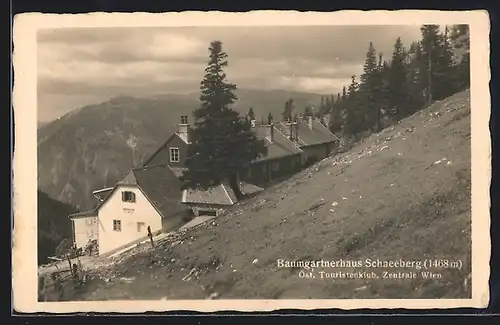 AK Baumgartnerhaus Schneeberg mit Tanne