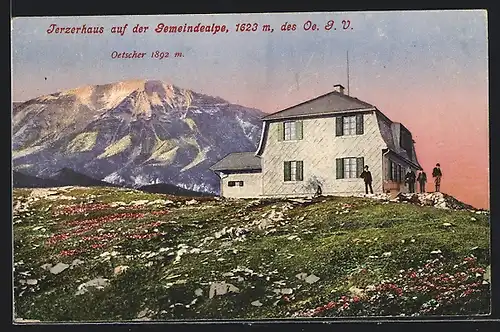 AK Terzerhaus, Gemeindealpe mit Oetscher