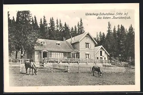 AK Unterberg-Schutzhaus, Pferde auf der Koppel davor