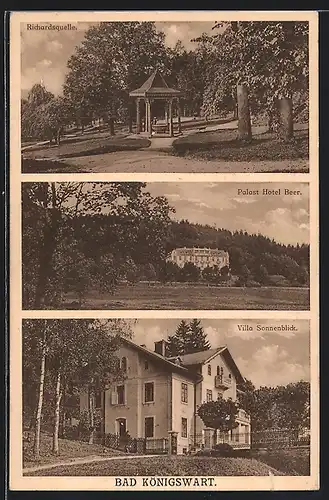 AK Bad Königswart, Richardsquelle, Palast Hotel Beer, Villa Sonnenblick
